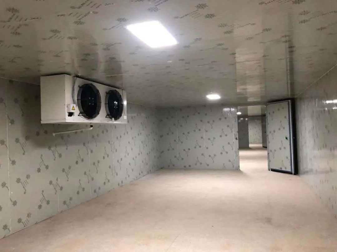气调保鲜冷库造价